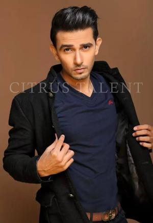 Ali Ansari