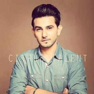 Ali Ansari