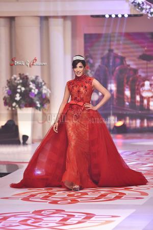 Mehwish Hayat