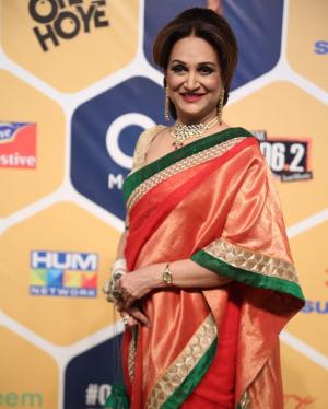Qmobile Hum Style Awards 2017 | Highlights | HD Images | Gossips